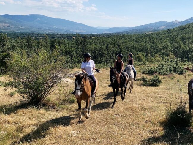 Rutas a caballo en Valencia
