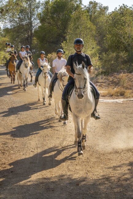 Rutas a caballo en Valencia