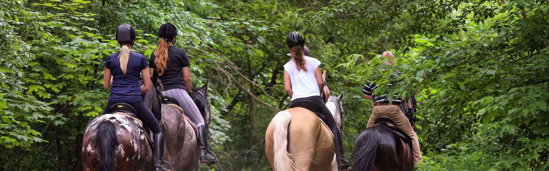 paseos a caballo en Valencia