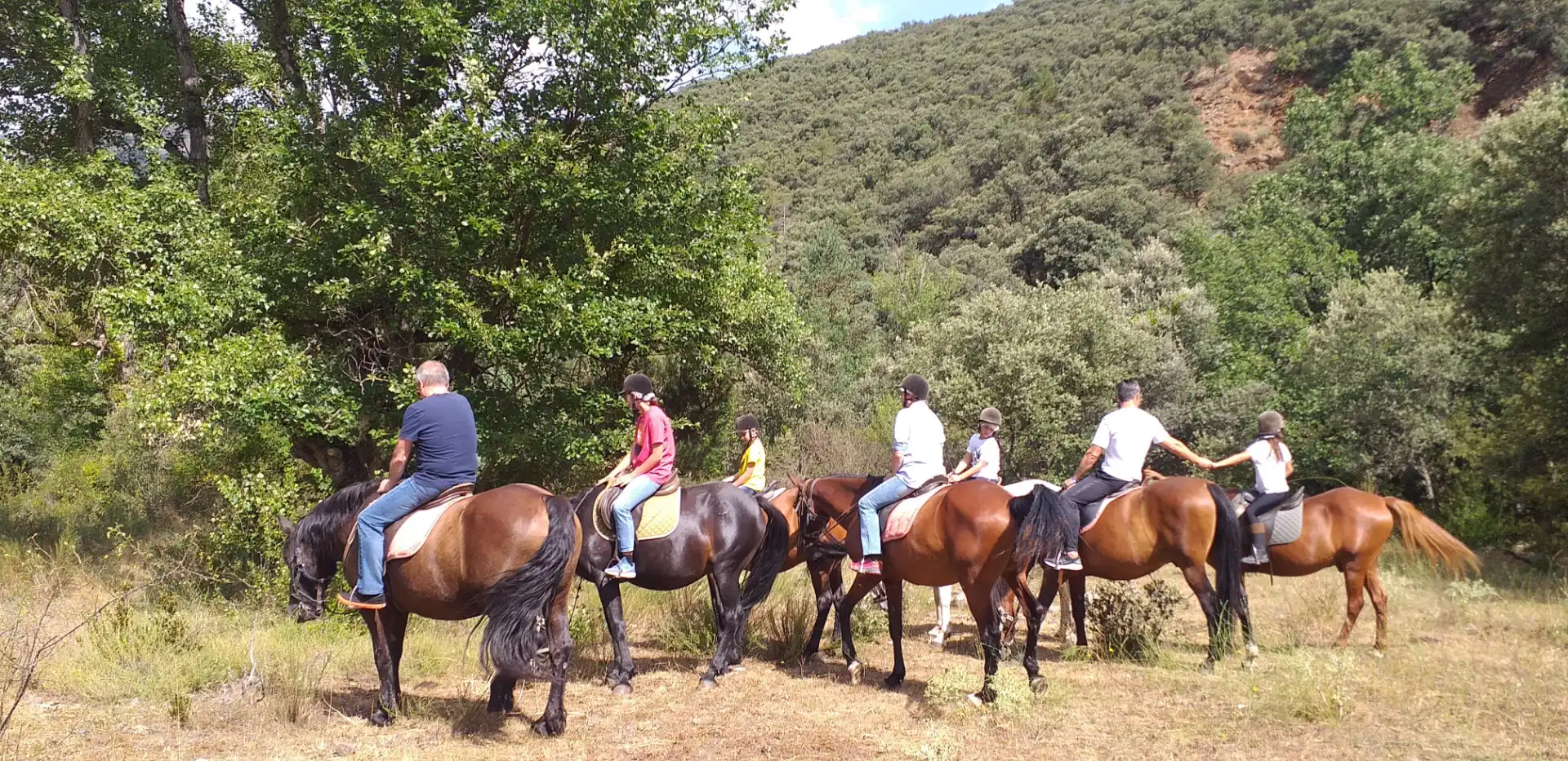 paseos a caballo en Valencia