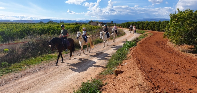 paseos a caballo en Valencia