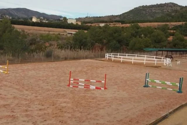 Clases de equitación en Valencia